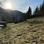 Im Triberger Schwarzwaldhaus - Haustiere Willkommen Apartmán