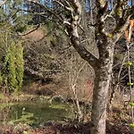 Im Triberger Schwarzwaldhaus - Haustiere Willkommen *