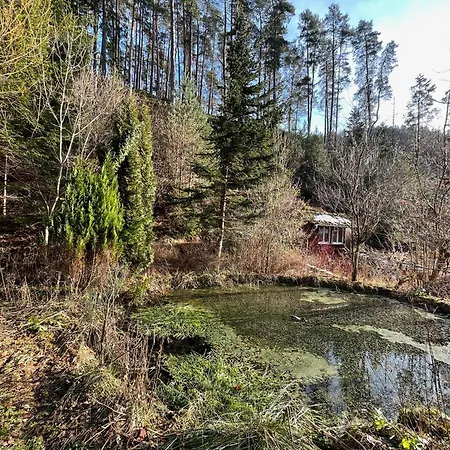 Appartement Im Triberger Schwarzwaldhaus - Haustiere Willkommen Triberg im Schwarzwald