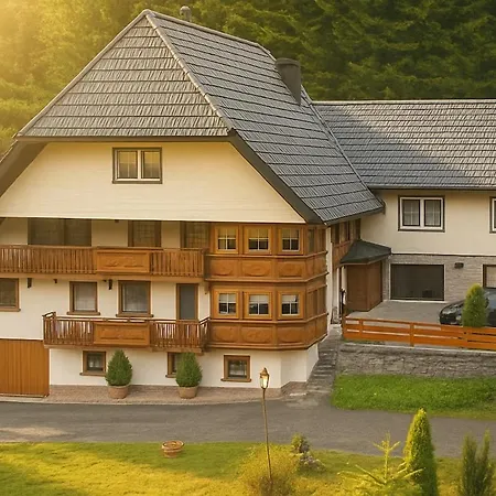 Im Triberger Schwarzwaldhaus - Haustiere Willkommen Appartement *