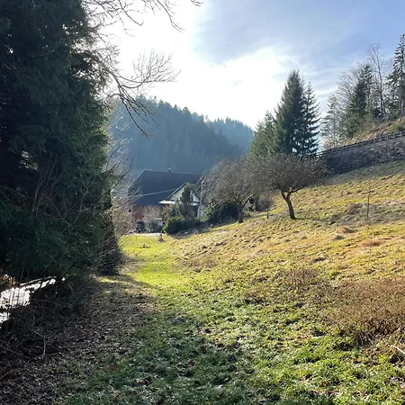 Appartement Im Triberger Schwarzwaldhaus - Haustiere Willkommen Triberg im Schwarzwald