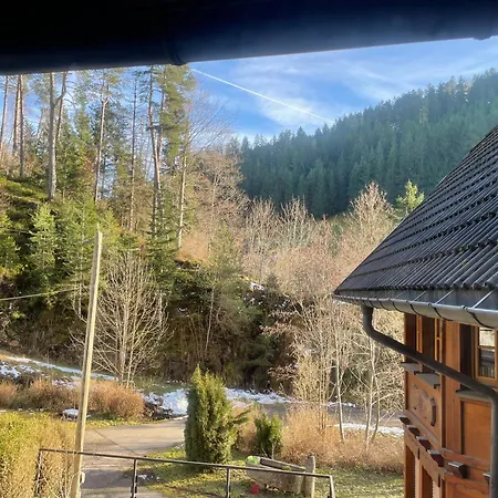 Im Triberger Schwarzwaldhaus - Haustiere Willkommen Appartement