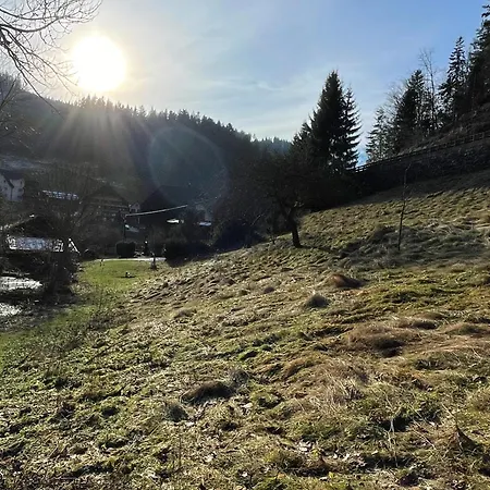 Im Triberger Schwarzwaldhaus - Haustiere Willkommen Appartement