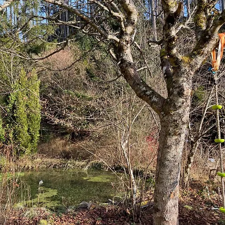 Im Triberger Schwarzwaldhaus - Haustiere Willkommen *