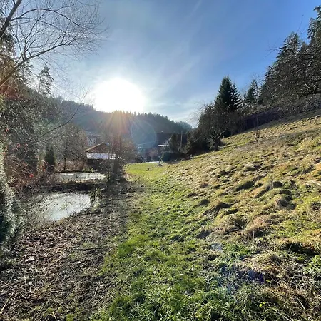 Appartement Im Triberger Schwarzwaldhaus - Haustiere Willkommen